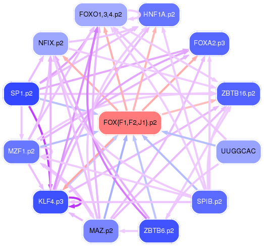 PNG image of the network